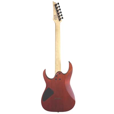 Ibanez Standard Series RG421PB Caribbean Shoreline Flat (Used) image 3