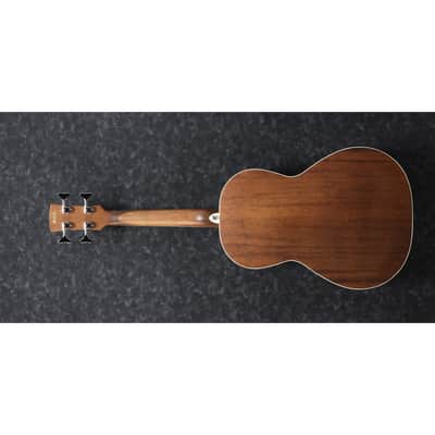 Ibanez PNB14E Performance Series Acoustic-Electric Bass - Open Pore Natural image 5