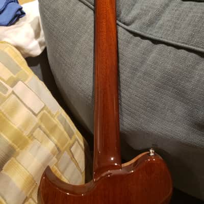 Washburn wi 68 idol USA Derek Trucks image 3