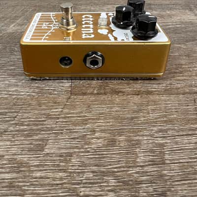 Mr. Black Eterna Gold Modified Shimmering Reverberator pedal image 3