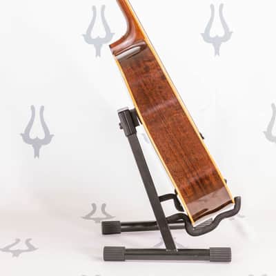Daion Year Series '80 / 12 String image 11