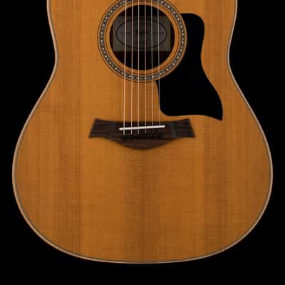 Taylor 117e Studio (Prototype) #55154 imagen 1
