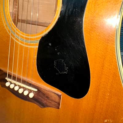 1973 Guild D-44M Solid Maple, Fresh Neck Reset, Bob Colosi Equipped image 9