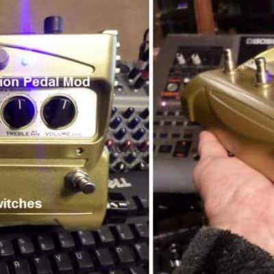 Ultimate Expression Line 6 DM4 from Modest Mike's Mods! image 2