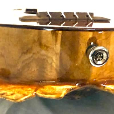 Turtle Shell Tenor Ukulele image 7
