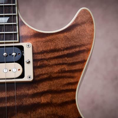 GIBSON USA Custom Shop Dealer Select Les Paul Axcess Floyd Rose "Siberian Tiger + Rosewood" (2025) image 8