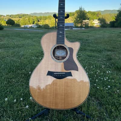 Taylor 812 | Reverb