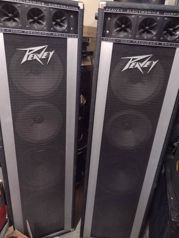 PEAVEY スピーカーペア 1210TLS 少し難あり 【公式通販】