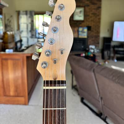 Old Growth Hackenberry wood Telecaster  body with  Fender Tex Mex pickups image 4