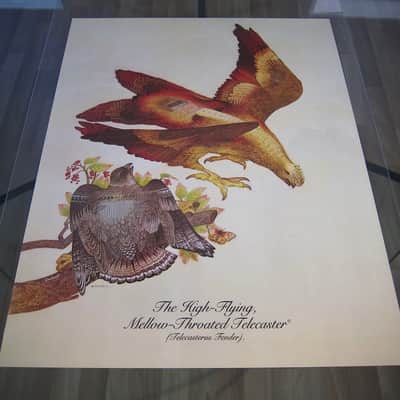 Fender Telecaster & Twin Reverb Authentic Vintage Poster "The High-Flying Mellow-Throated Telecaster" with Version B Bonus Poster Artist Endicott Circa-1976-Multi Color image 5