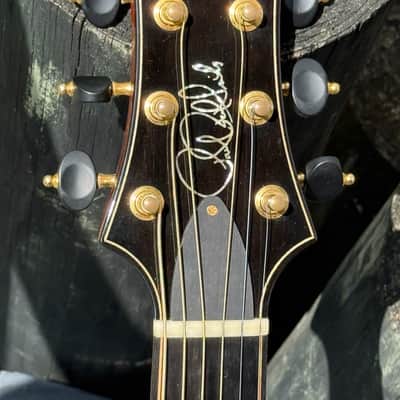 PRS Angelus Brazilian 2013 - absolutely gorgeous Brazilian Rosewood Special Order ! image 7
