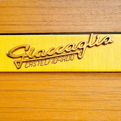 Super Rare Giaccaglia Chord/Reed Organ (Italy, 1960s) – vintage electric organ and harmonium! image 9