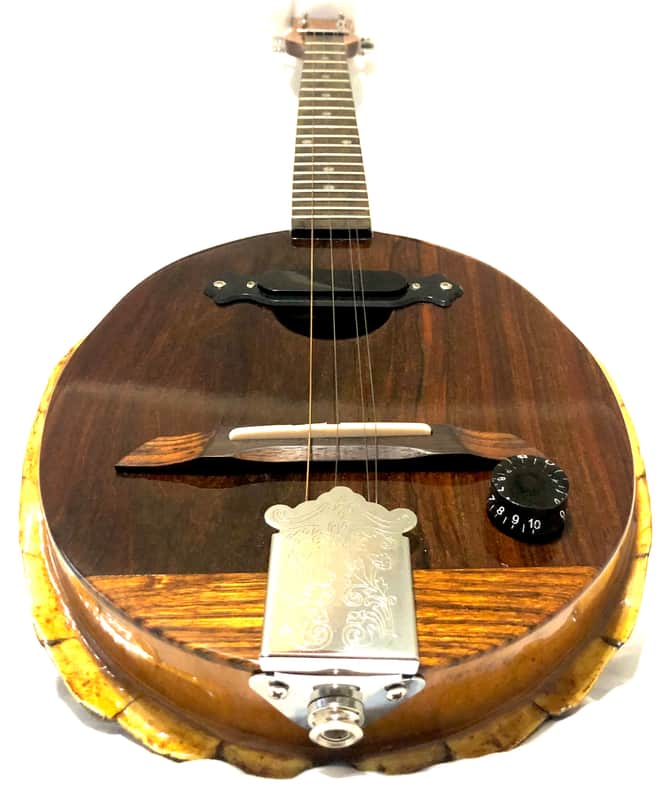 Turtle Shell acoustic/electric dulcimer guitar image 1