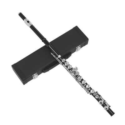 New Black 16-Hole C Flute for Beginners and Student Musicians – Includes Case and Accessories image 3