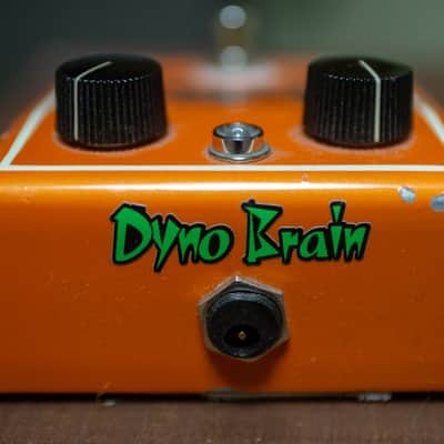 Nocturne Dyno Brain image 2