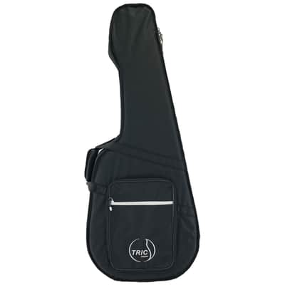 Godin Tric parlor Case image 3
