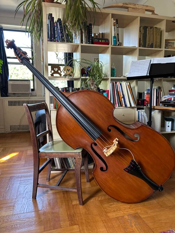 Lemur Removable Neck Upright Bass image 1