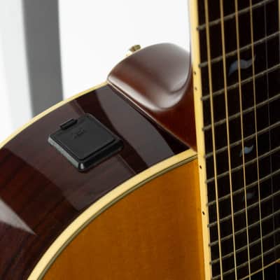 Immagine Yamaha CPX-8 Compass Series Acoustic 2007 - Natural - 12