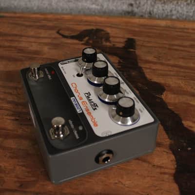 PastFx Chorus Ensemble MN3007 w/ Box image 4