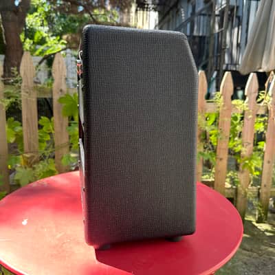 3rd Power Wooly Coats Spanky Jr 6VEL 1x10” Combo Amp image 6