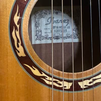 Ibanez AEF18-NT Acoustic Guitar W/Fender Case) image 3