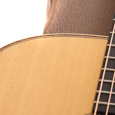 Taylor Gold Label Collection 810e Acoustic-Electric image 8