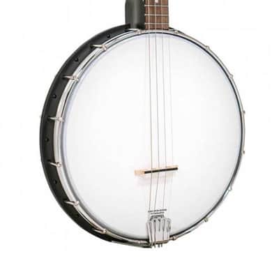 BANJO 4 Cordes GOLD TONE AC-4 IT - acoustique Irish Ténor open back image 2