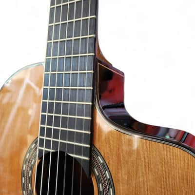 7-String Classical Nylon Guitar – Gayetana A77 | Full Scale 55mm Nut | Jazz / Latin / Extended Range - Cedar image 9