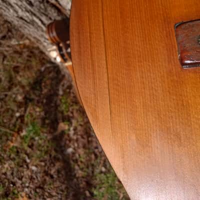 Handmade Dulcimer and Kay guitar image 22