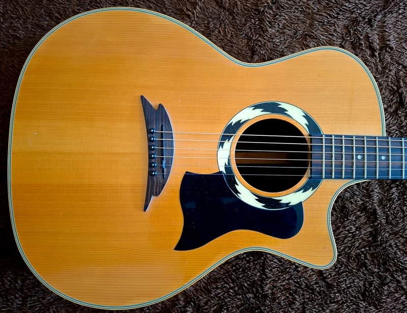 Hohner Striped Ebony Sides, Back & And Fretboard All Solid Woods Flat Top Acoustic Electric Dreadnought Steel String Guitar image 1
