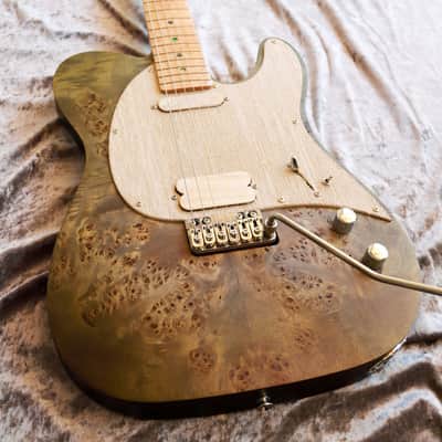 GB Liuteria Traditional Tele vegatrem - green poplar image 14