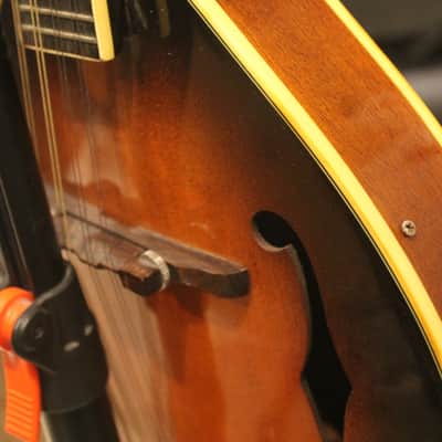 Palmer M-001 Mandolin Sunburst image 5