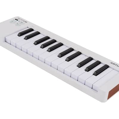 Arturia MicroLab MK3 25-Key USB MIDI Keyboard Controller Bild 4