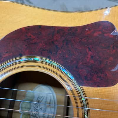 Washburn D48 SW Acoustic image 13