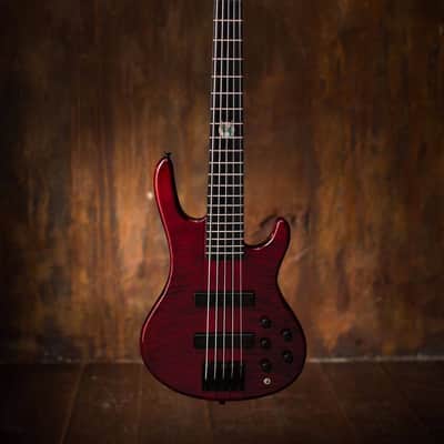 Wolf 5 String Jazz Bass Transparent Red Bass 2016 w/ Gigbag image 5
