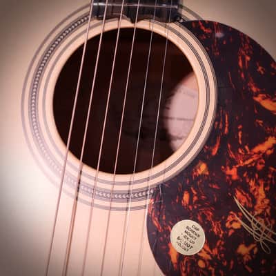 Maton EBG808TEC Tommy Emmanuel image 7