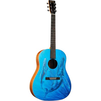 Martin DSS Biosphere II Acoustic Guitar w/SS image 2