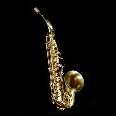 Selmer AS42M Professional Eb Alto Saxophone, Matte Finish image 11
