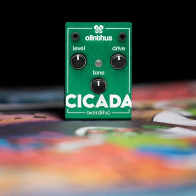 Olinthus Cicada Overdrive – World's Smallest Effects Pedal! image 2