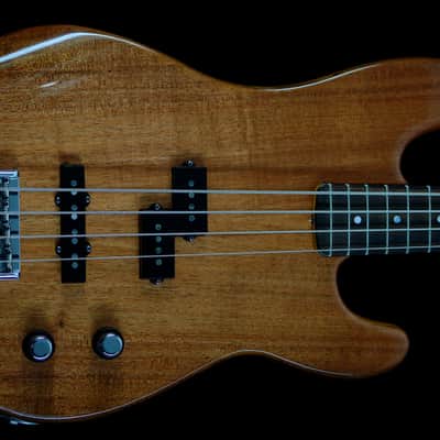Fender Custom Shop Artisan Postmodern Bass PJ 2016 Tasmanian Blackwood image 1