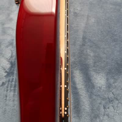 VGS Radioactive TD-Special True Temperament Evertune image 12