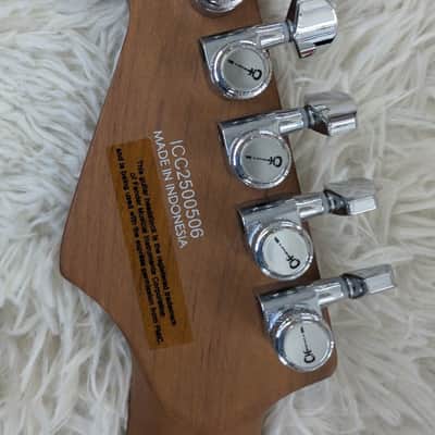 Charvel Pro Mod Plus Dinky DK24 HH 2PT E QM Electric Guitar Chlorine Burst image 5
