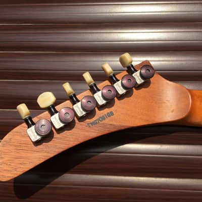 ESP Mx-250 Custom Order Block Inlays Explorer with EMG HET SET Mx250 image 13