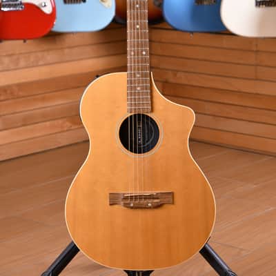 Line 6 Variax Acoustic 300 Series image 1