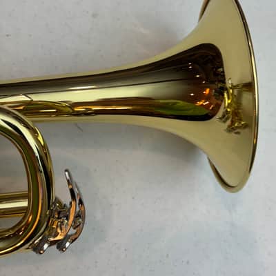 Unbranded Bb Trumpet — Excellent Condition + Case + Accessories image 10