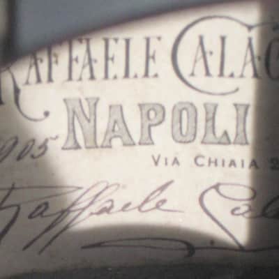 Calace Mandolin 1905 - Natural image 3