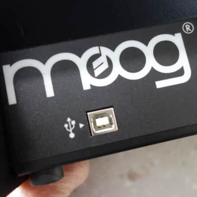 Moog Slim Phatty 2 (with wooden frame) image 12