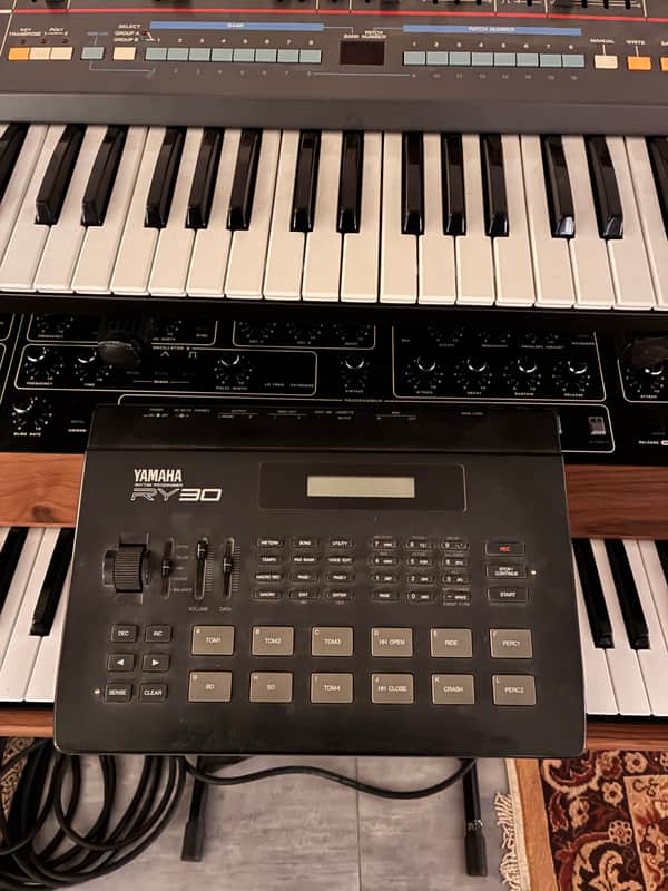 Yamaha RY 30