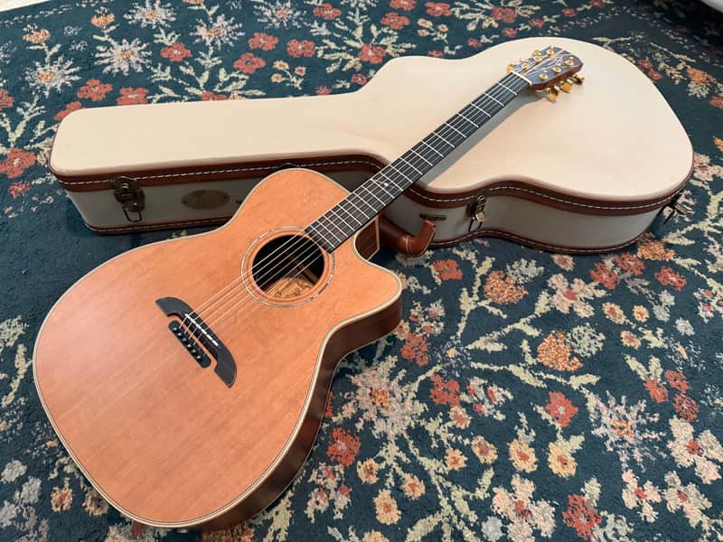 Alvarez Yari WY-1 - Natural image 1