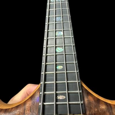 Alembic Stanley Clarke "Brown Bass", Flame Walnut with Ebony, BLUE LEDS *IN STOCK*** image 17